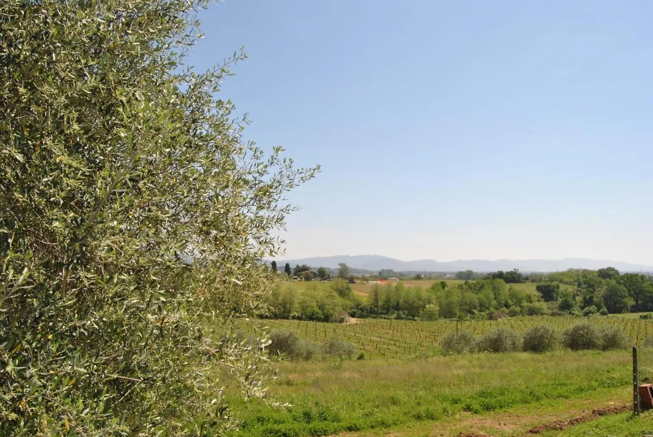 Da Ida Alla Vigna Del Greppo Apartment San Piero in Campo