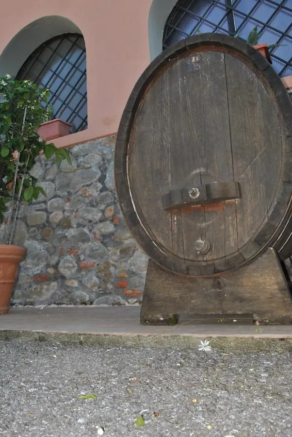 Da Ida Alla Vigna Del Greppo Apartment San Piero in Campo