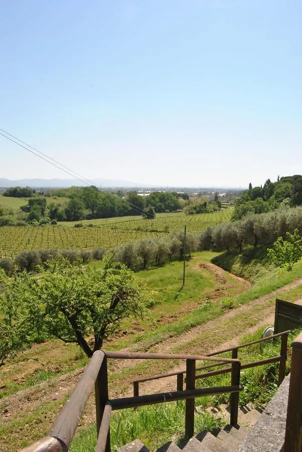 Da Ida Alla Vigna Del Greppo Apartment San Piero in Campo  Italy