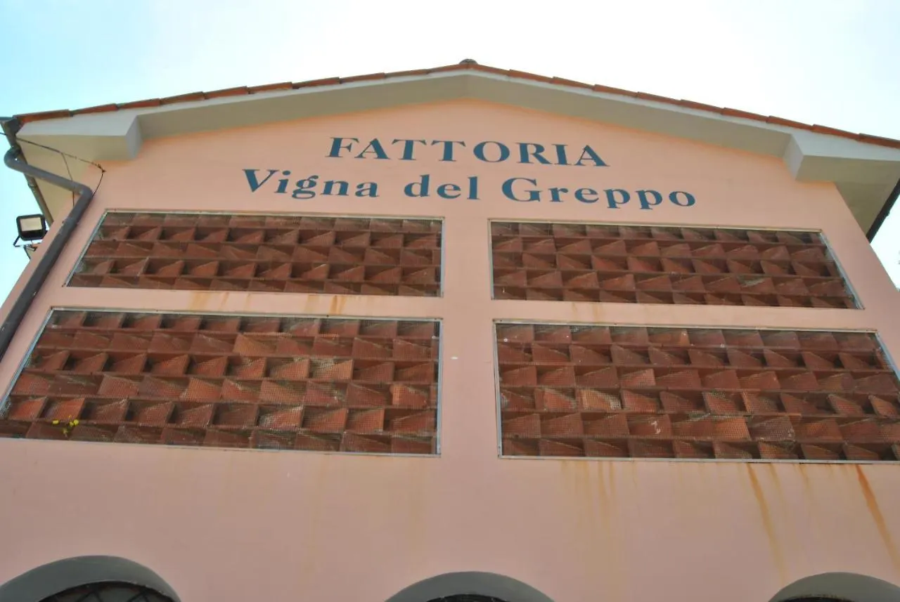 Da Ida Alla Vigna Del Greppo Apartment San Piero in Campo  Italy