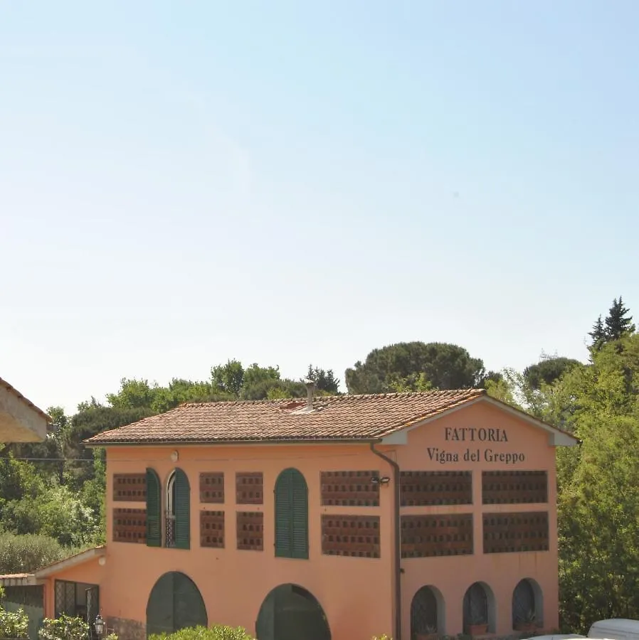 Da Ida Alla Vigna Del Greppo Apartment San Piero in Campo