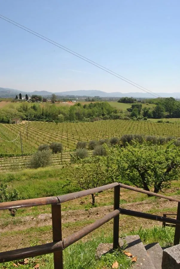 Da Ida Alla Vigna Del Greppo Apartment San Piero in Campo