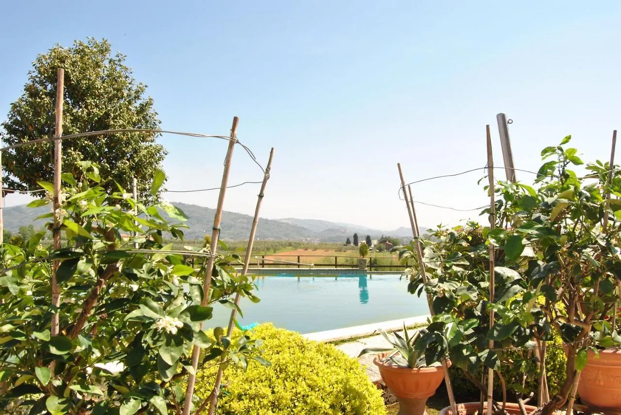 Da Ida Alla Vigna Del Greppo Apartment San Piero in Campo  0*, San Piero in Campo (Tuscany)