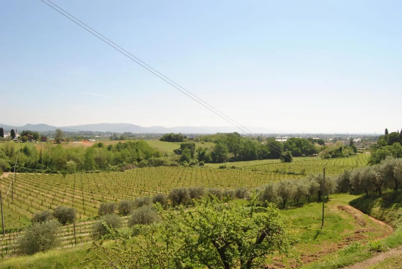 Da Ida Alla Vigna Del Greppo Apartment San Piero in Campo