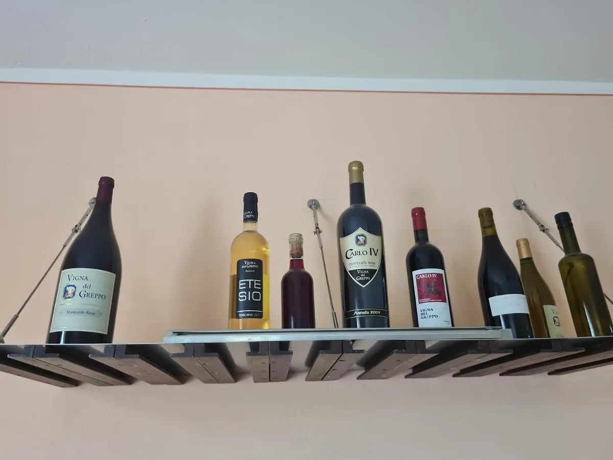 Da Ida Alla Vigna Del Greppo Apartment San Piero in Campo