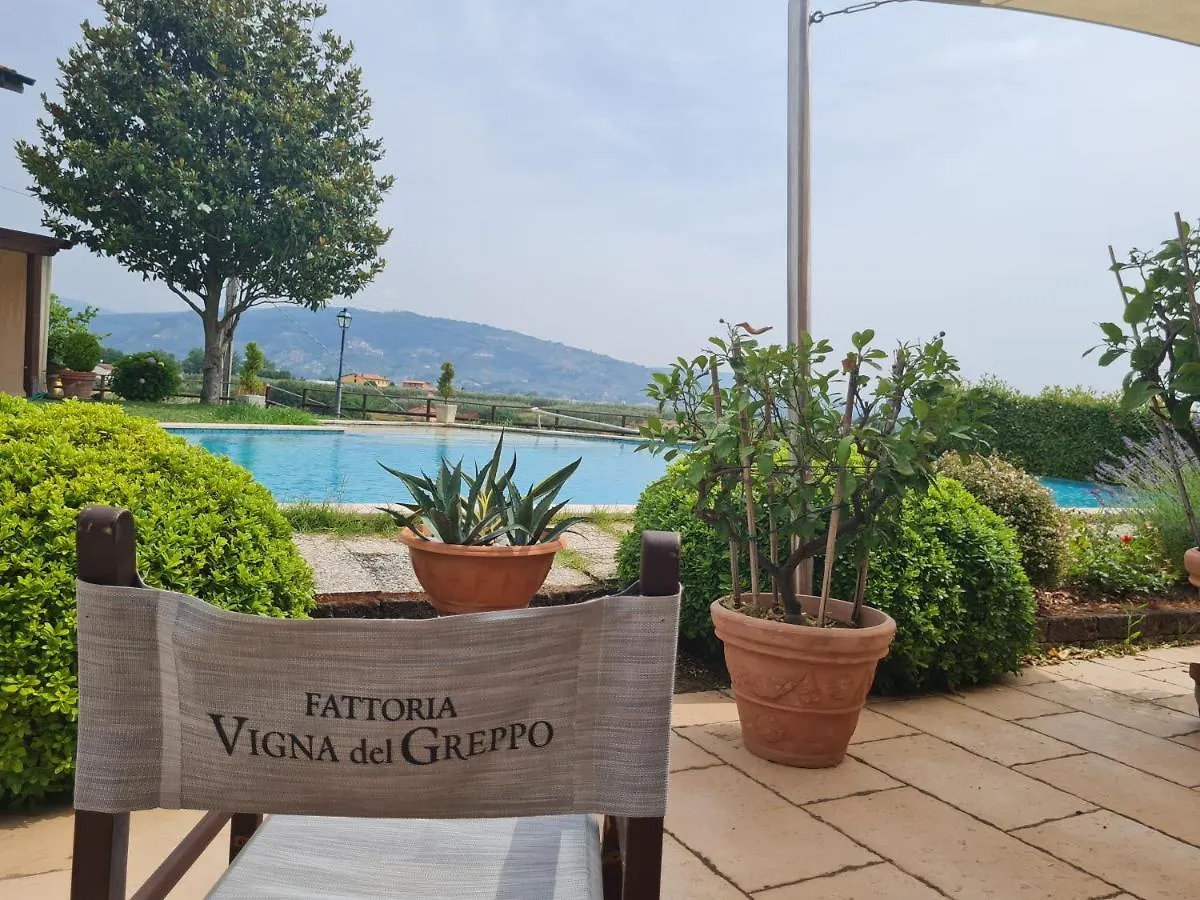 Da Ida Alla Vigna Del Greppo Apartment San Piero in Campo  Italy