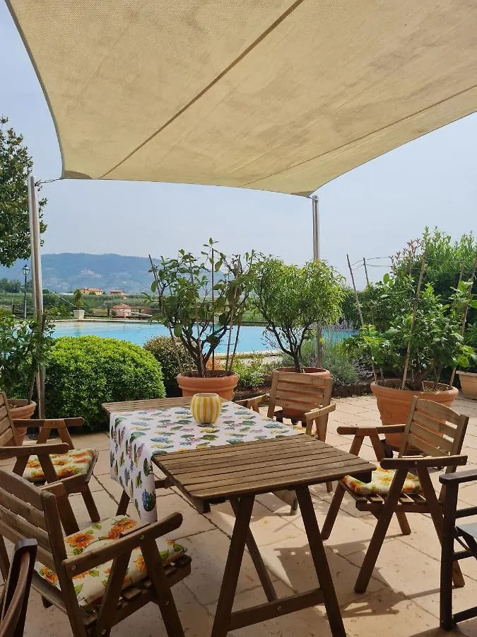 Da Ida Alla Vigna Del Greppo Apartment San Piero in Campo