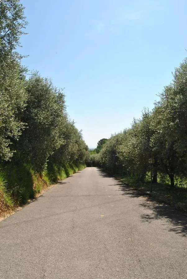Da Ida Alla Vigna Del Greppo Apartment San Piero in Campo  Italy